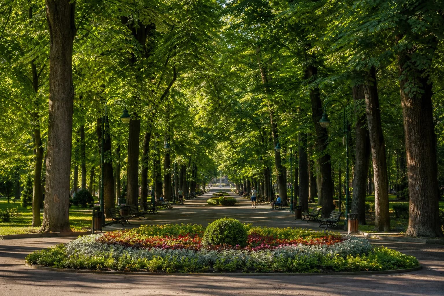 Главные парки Брашова