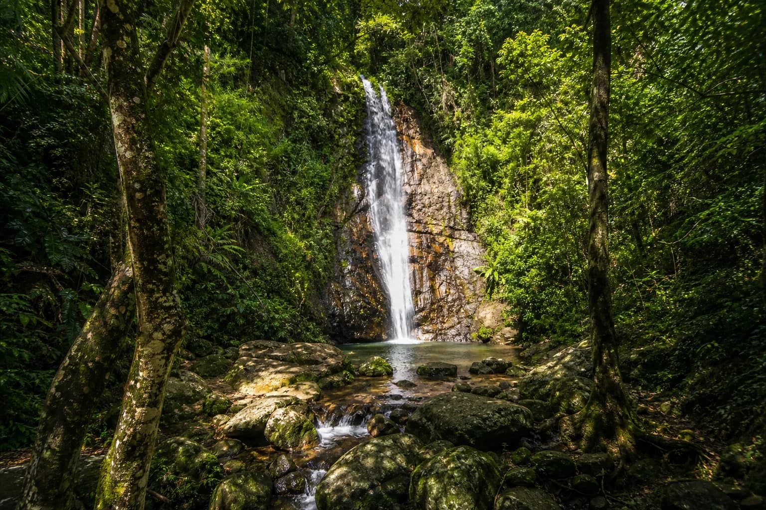 Главные парки