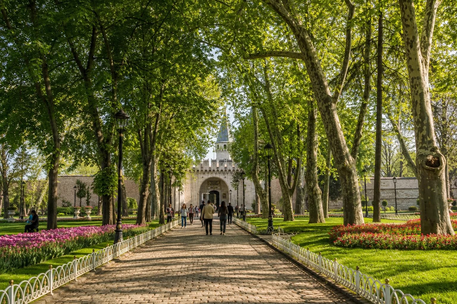 Практическая информация